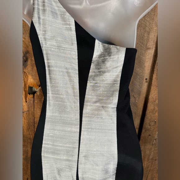 Rag & Bone Silver/Black Silk Dupioni One Shoulder Dress - Size 2 - Picture 8 of 15